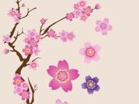 Cherry-Blossoms-Vector
