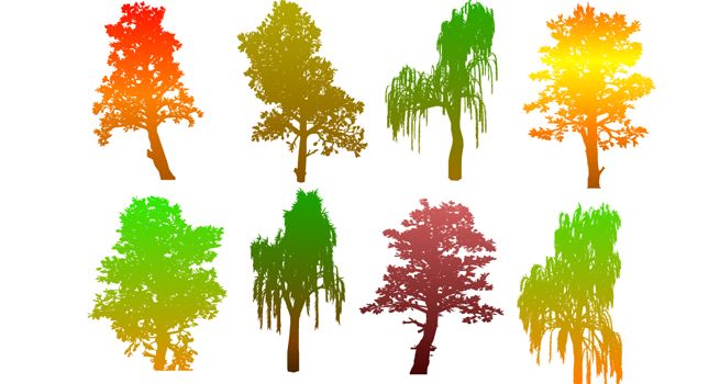 Colourful-Tree-Silhouettes