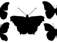 Butterfly-Silhouettes-Free-Vector