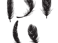 Feather-Free-Vectors