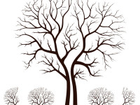 Leafless-Autumn-Tree-Design-Vector