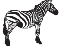 Zebra-Free-Vector-Resource