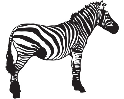 Zebra-Free-Vector-Resource