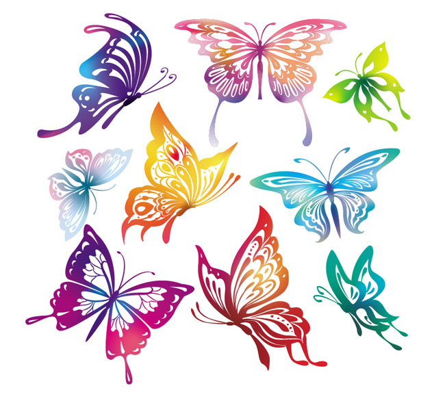 Butterfly-Vector
