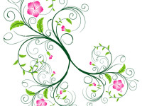 Vector-Swirls-and-Floral-Swirls