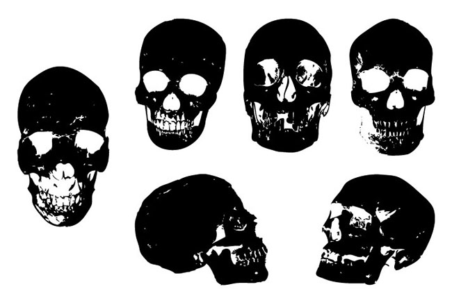 Skull-Vector-Package-EPS