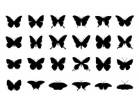 24-butterfly-silhouettes