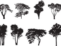 8-Tree-Silhouette-Vectors