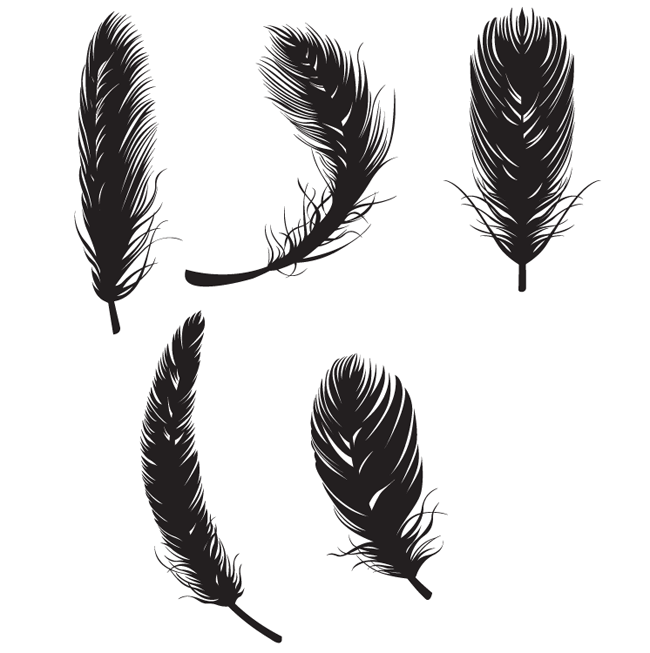 Feather-Free-Vectors