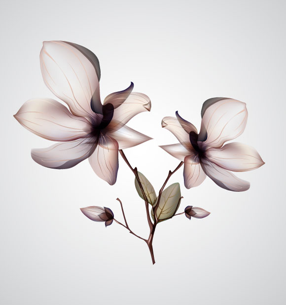 Orchid-Flower-Vector