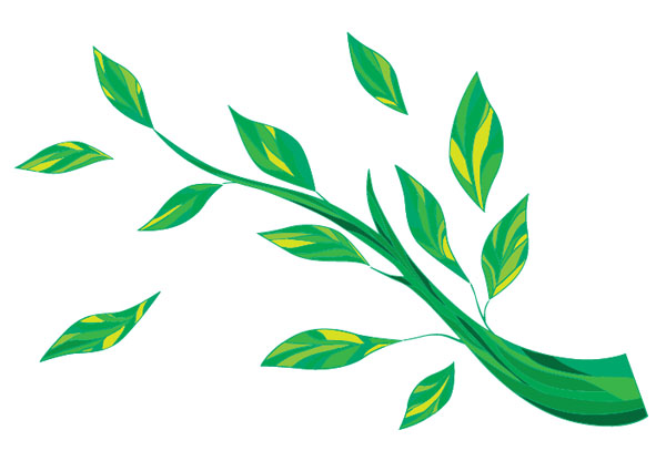 Branches-And-Leaves-Free-Graphics