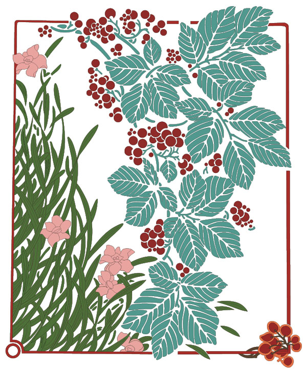 Floral-illustration