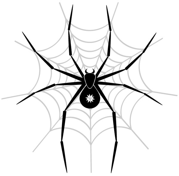 Spider-in-the-net-vector