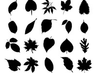 20-Vector-Collection-of-Leaf-Silhouettes