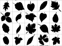 80-Leaf-Silhouettes-Free-vector-&-Brush-Pack